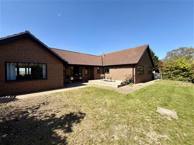 Picture 23
